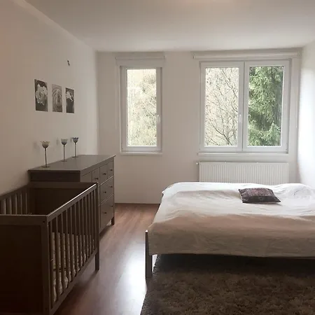 Apartment Le Mont Szpindlerowy Młyn